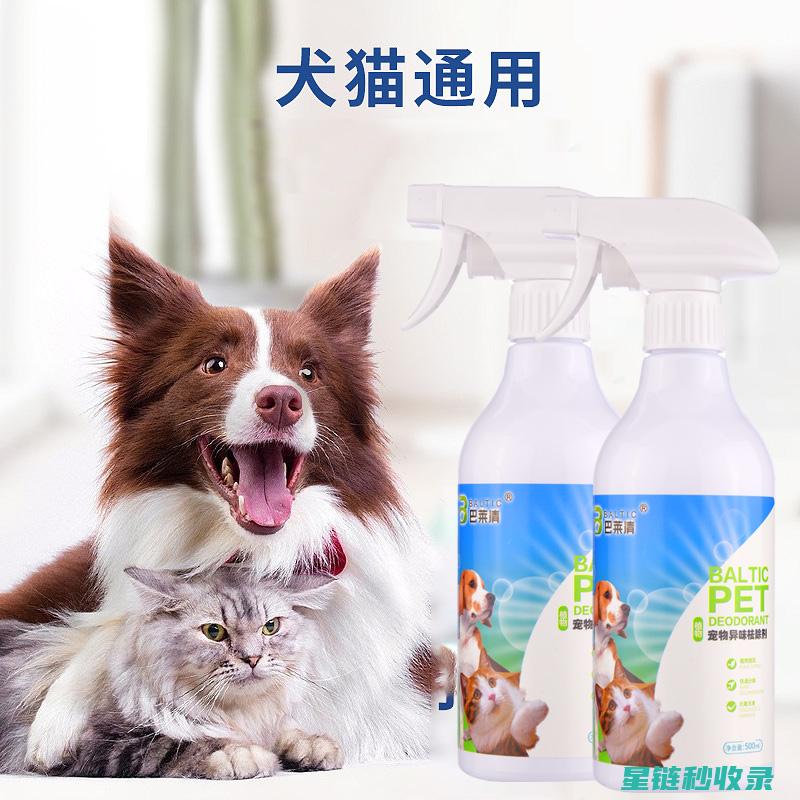 宠物异味去除秘籍：这些方法你一定要知道！ (宠物异味去除剂)