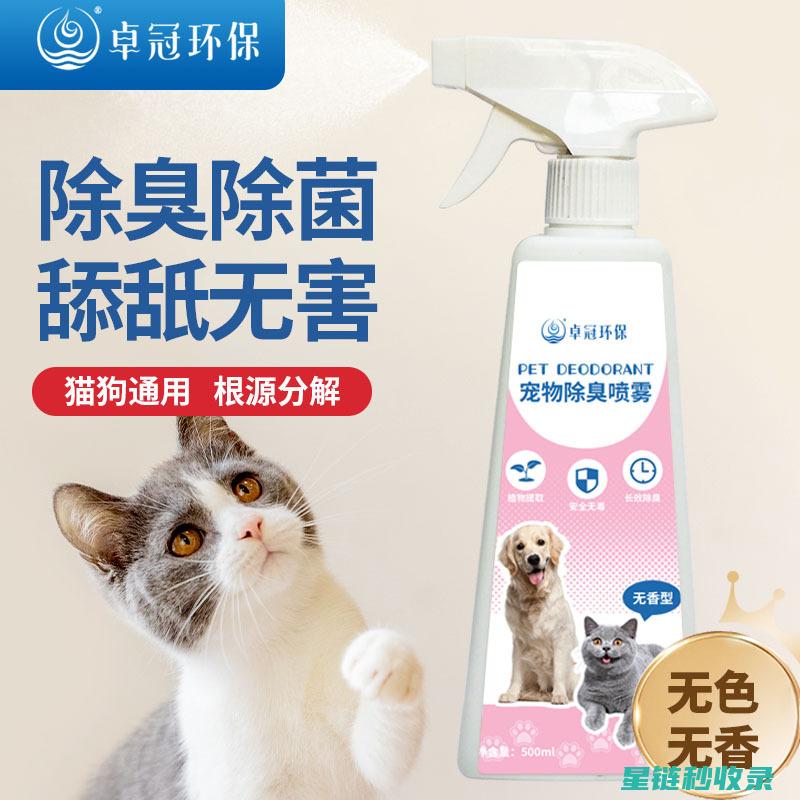 猫砂除臭秘方：让你的猫砂盆散发自然香气 (猫砂除臭秘方大全)